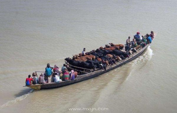 梦到过河过不去_是什么预兆