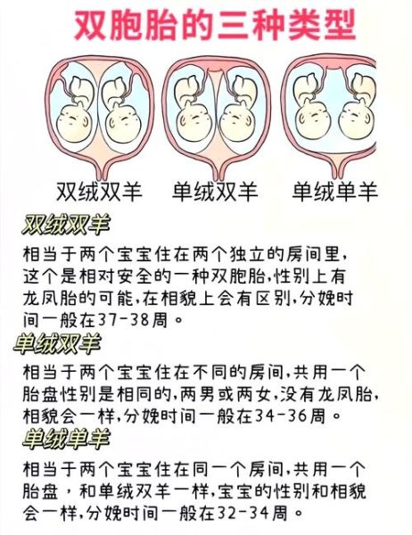 怀孕梦到羊是什么意思_胎梦羊预示男女吗