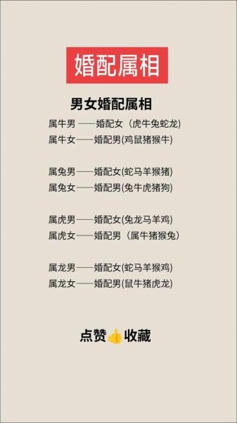 男女属相相同好吗_属相相同婚配禁忌