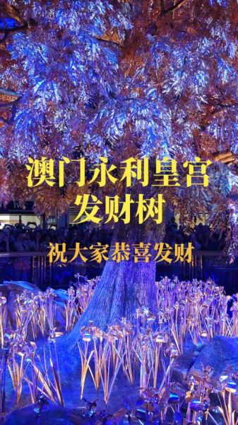 澳门财运树怎么摆放_澳门财运树风水禁忌