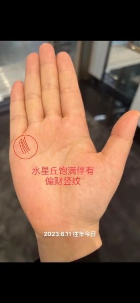 水型手相财运_水型手相如何招财