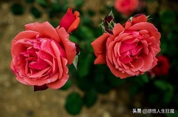 梦到别人看不起自己_意味着什么