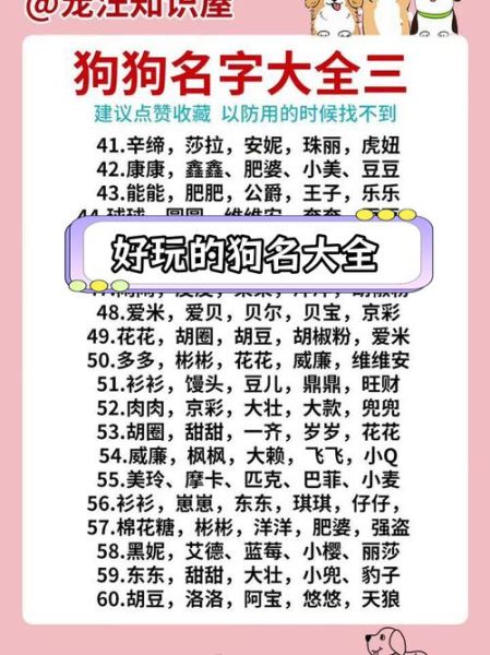 属狗起名宜忌_属狗宝宝名字推荐