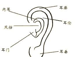 看鼻子知财运_鼻子面相财运怎么看