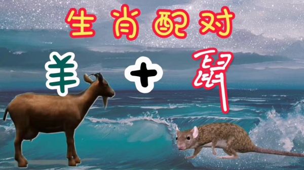 属羊和属鼠的合不合_属羊和属鼠的婚姻能长久吗