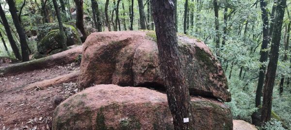 属相摆放石头风水禁忌_生肖石阵怎么摆