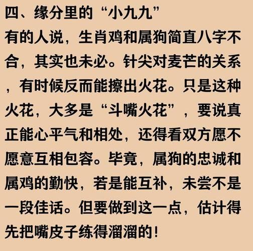 属狗和属鸡合不合_属狗属鸡婚配好吗