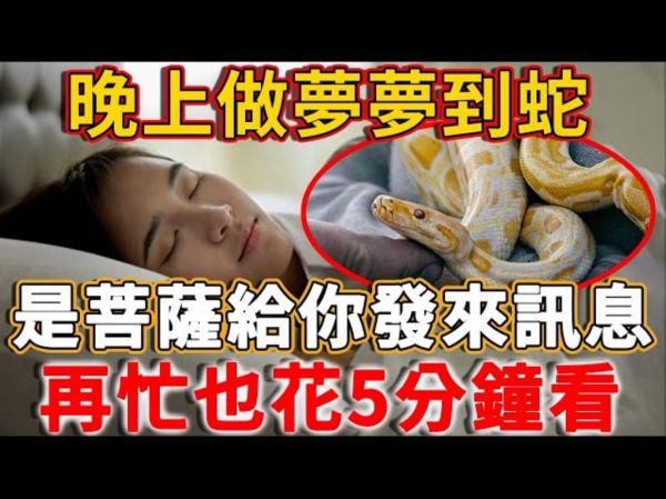 老公梦到蛇预示着什么_梦见蛇是吉是凶