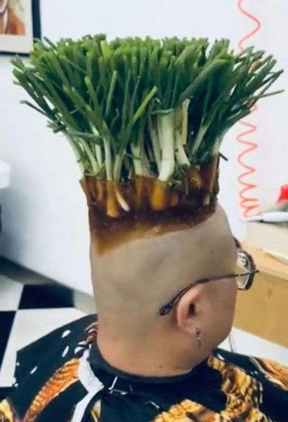 梦到栽葱是什么意思_梦见自己种葱好不好