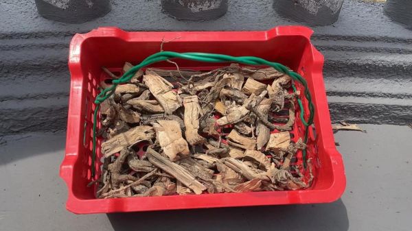 梦到中草药是什么意思_梦到中草药预示着什么