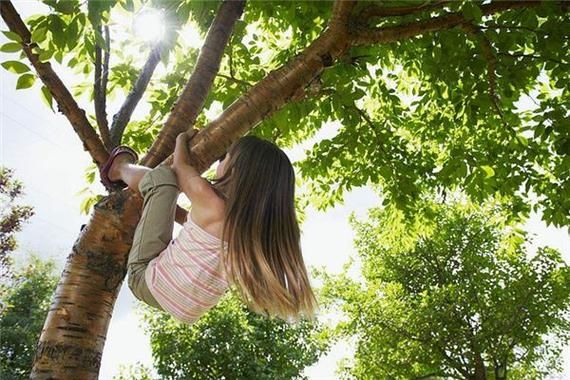 梦到爬树是什么意思_梦见爬树很吃力预示什么