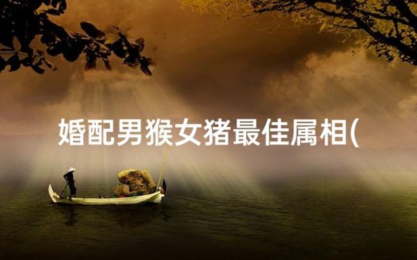 女猴跟女猪属相配吗_属猴女和属猪女合不合