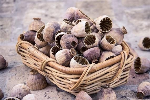 梦到买米是什么意思_梦到买米预示什么