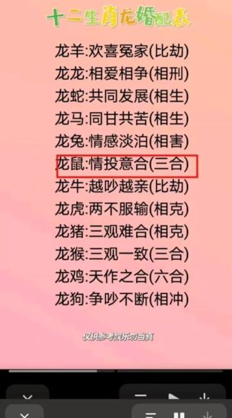 男属虎女属龙婚姻配对_能白头偕老吗