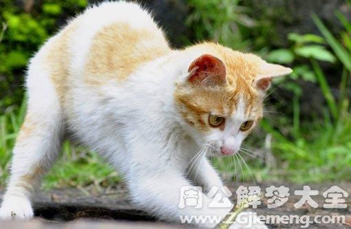 梦到车站是什么意思_梦见火车站预示什么