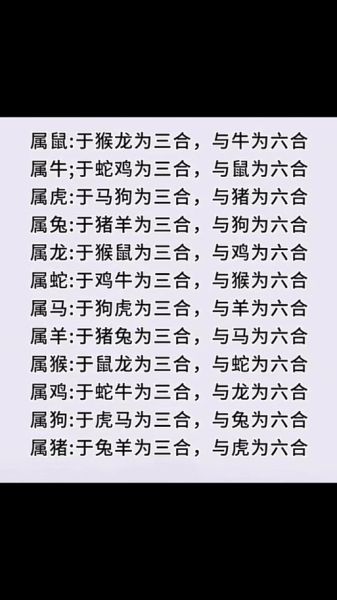 狗年大龙属相运势如何_狗年大龙合不合