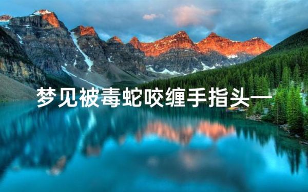 梦到被毒蛇咬了_是什么意思