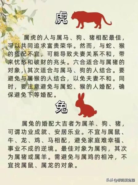 兔和什么属相相冲_如何化解
