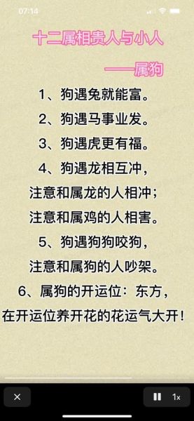 属鸡和属狗的婚姻合不合_属鸡和属狗相冲吗