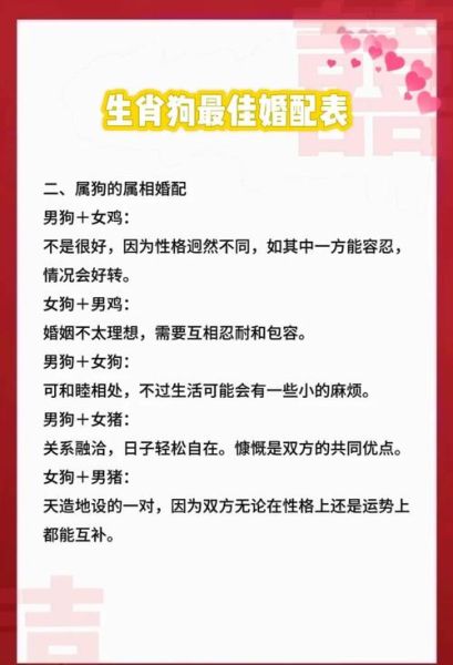 属狗今年财运如何_属狗今年婚姻怎么样