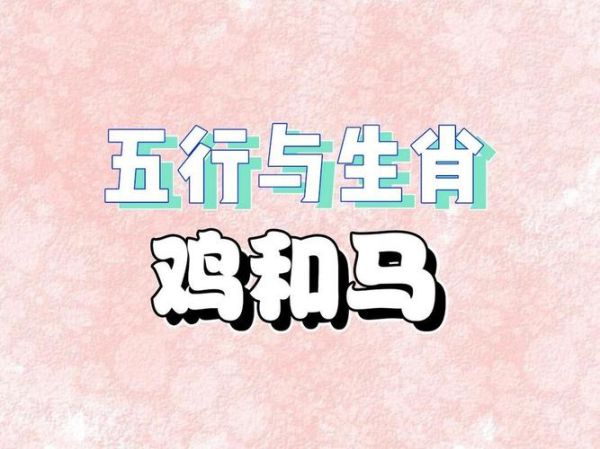 属马和属鸡的婚姻如何_属马和属鸡的合不合