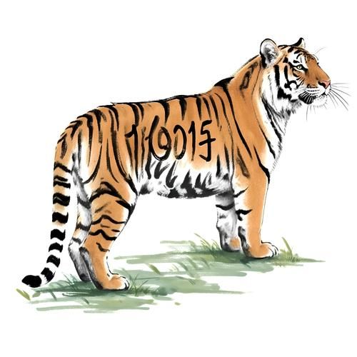 1986年属什么生肖_属虎人的命运如何