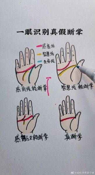 假断掌的财运怎么样_假断掌的人适合做什么生意
