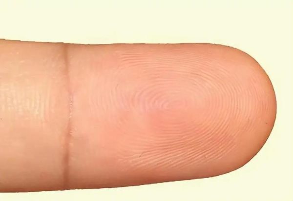 十簸箕财运_真的好吗