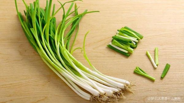 梦见成捆大葱是什么意思_周公解梦原版