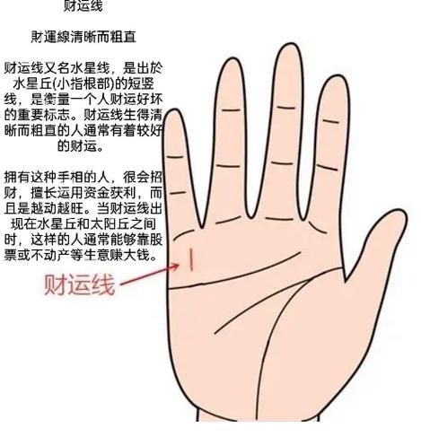 手纹财运线怎么看_手相财运线真的准吗