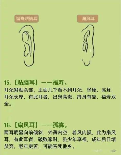 耳朵看财运怎么看_耳朵形状与财富的关系