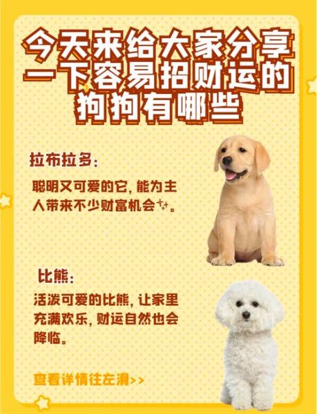 养狗会影响财运吗_养狗风水禁忌