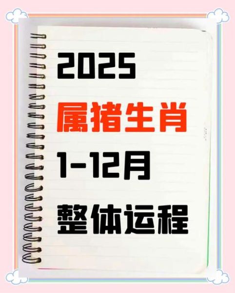 属猪2020年每月运势详解_属猪2020年运势如何