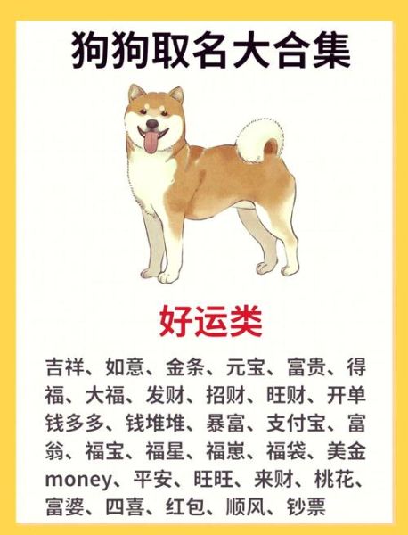 狗狗名字能带来财运吗_招财狗名怎么取