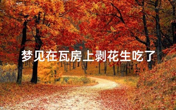 梦到花生是什么意思_梦见花生周公解梦