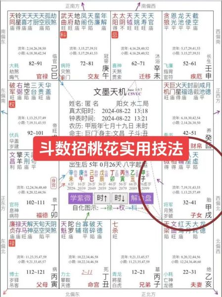 紫薇2020流年财运_如何提升偏财运