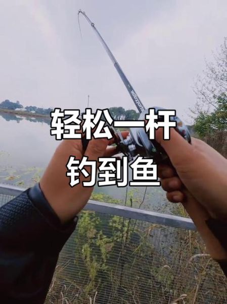 梦到买鱼杆是什么意思_梦见买鱼杆好不好