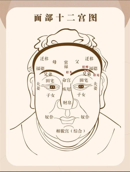 眉尾下垂的男人运势_面相解析与改运方法