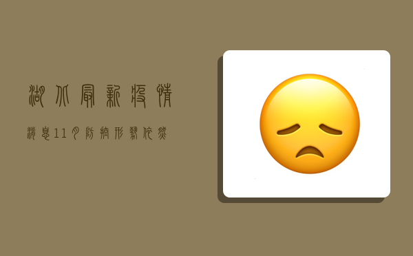 湖北最新疫情消息11月，防控形势依然严峻，专家建议科学应对