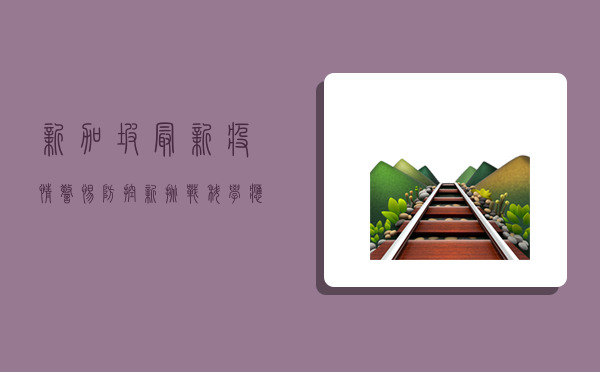 新加坡最新疫情，警惕防控新挑战，科学应对疫情变化