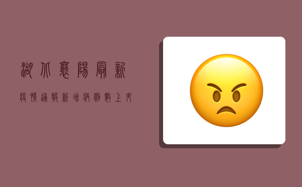 湖北襄阳最新疫情通报，新增病例数上升，防控形势依然严峻