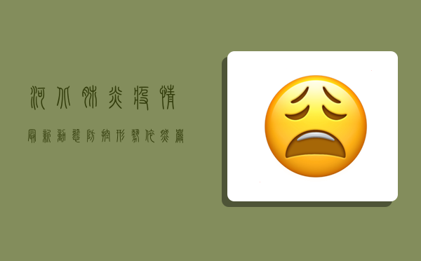 河北肺炎疫情最新动态，防控形势依然严峻，专家建议科学应对